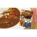 東の工藤 洋風ポークカレー
