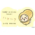『へんしん! うさぎ』